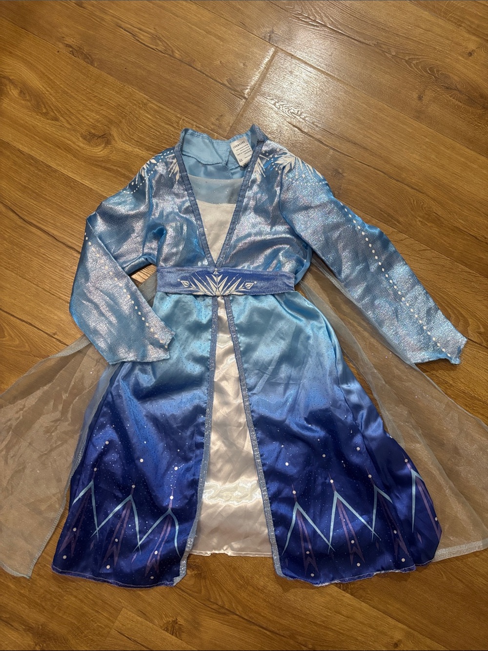 Disney Costume